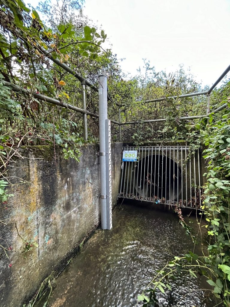River gauging station with integrated stilling tube and staff gauge board